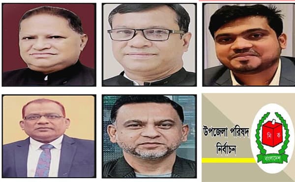 হিজলা উপজেলা পরিষদ নির্বাচনে ১৩টি  মনোনয়নপত্র জমা