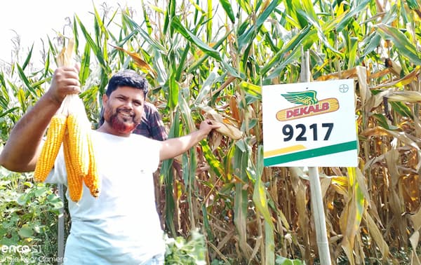 আত্রাইয়ে ভূট্টার বাম্পার ফলন, কৃষকের মুখে হাসি