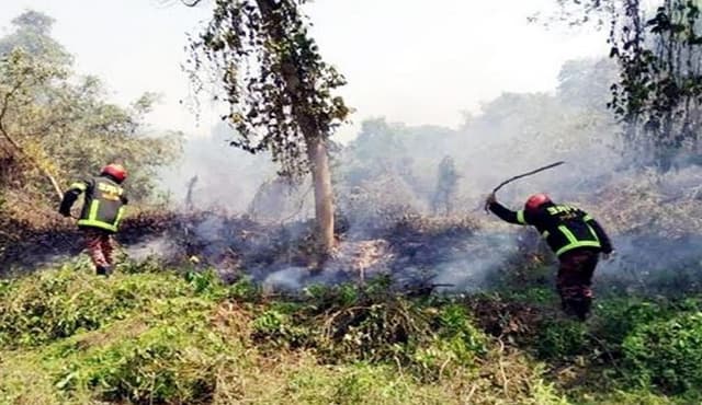 লাউয়াছড়া জাতীয় উদ্যানে আগুন নিয়ন্ত্রণে