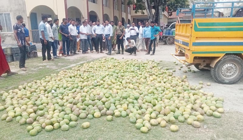 আশাশুনিতে মোবাইল কোর্টে ৮০০ কেজি আম বিনষ্ট