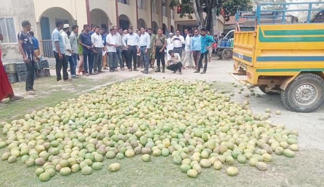 আশাশুনিতে মোবাইল কোর্টে ৮০০ কেজি আম বিনষ্ট