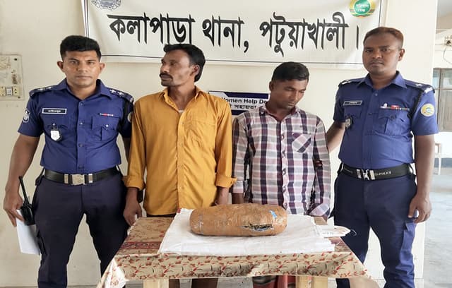 কলাপাড়ায় গাঁজাসহ দুই মাদক ব্যবসায়ী আটক