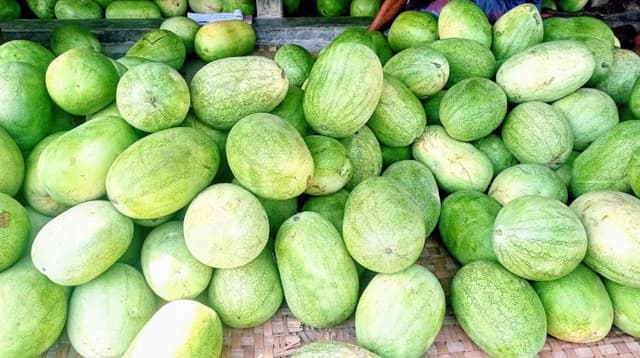 একদিনের পারিশ্রমিকেও মিলছে না একটি তরমুজ