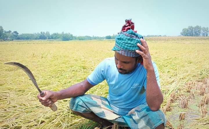 কৃষকের আশায় জল ঢেলে দিল ঝড়োবৃষ্টি