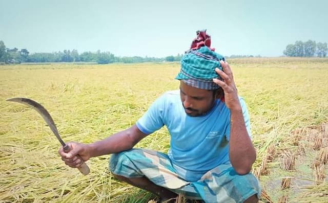কৃষকের আশায় জল ঢেলে দিল ঝড়োবৃষ্টি