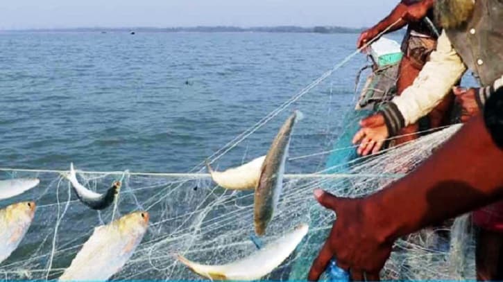 দুই মাসের নিষেধাজ্ঞা শেষে ইলিশ ধরা শুরু