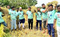 হিলিতে অসহায় কৃষকের ধান কেটে ঘরে তুলে দিলো ছাত্রলীগ