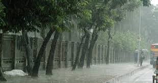 ঢাকাসহ ৫ বিভাগে ঝড়ো বৃষ্টির আভাস