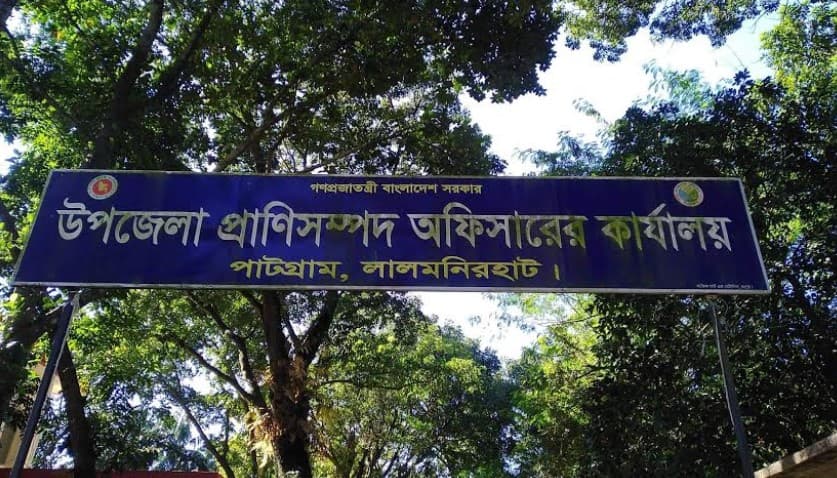 আটকৃত ভারতীয় একটি গরুর দৈনিক ব্যয় ৪৪৩ টাকা!