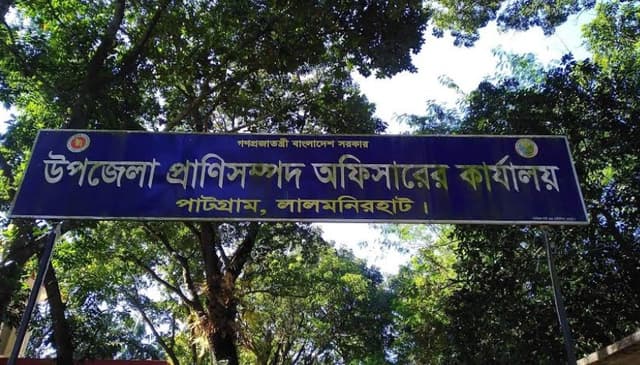 আটকৃত ভারতীয় একটি গরুর দৈনিক ব্যয় ৪৪৩ টাকা!