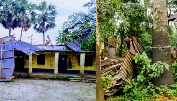 দেবীদ্বারে কালবৈশাখী ঝড়ে বিদ্যালয়-বাড়িঘরসহ ফসলের ব্যাপক ক্ষয়ক্ষতি