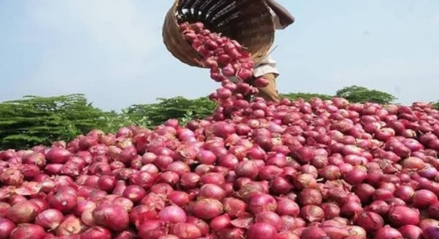 আমদানি বন্ধ হওয়ায় হিলি স্থলবন্দরে পেঁয়াজের দাম বৃদ্ধি