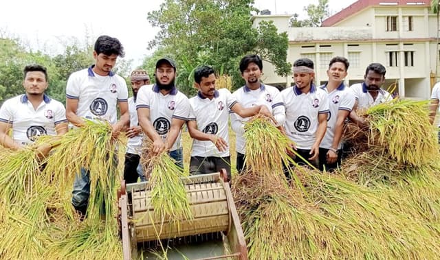 দেবীদ্বারে বিধবা কৃষাণীর ধান কেটে ঘরে তুলে দিলো ছাত্রলীগ