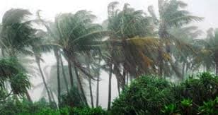 ৭ অঞ্চলে ৬০ কিমি বেগে ঝোড়ো হাওয়াসহ বজ্রবৃষ্টির আভাস