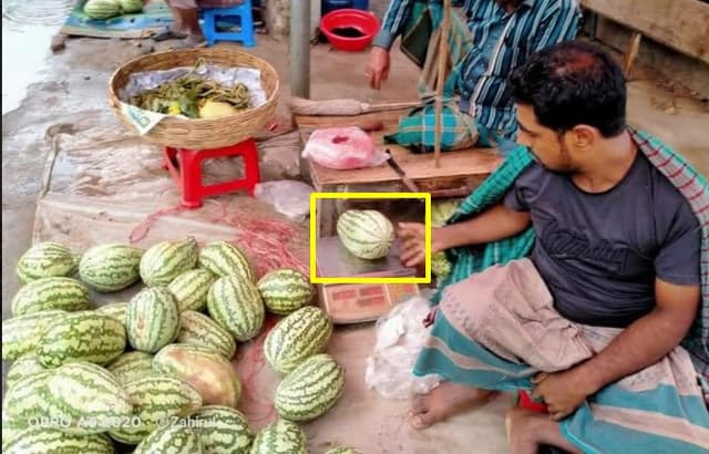 আশাশুনিতে কেজিতে বিক্রয় হচ্ছে তরমুজ, নেই প্রশাসনের তদারকি