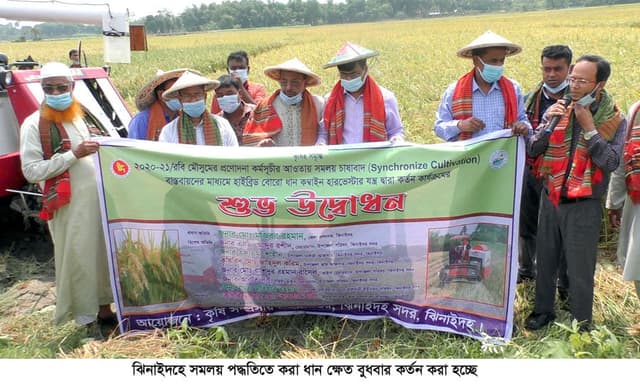 সমলয় প্রকল্পঃ ঝিনাইদহে কইয়ের তেলে কই ভাঁজলেন কৃষি অফিসার !