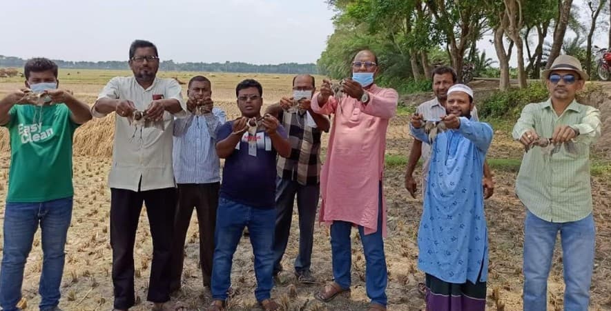 ঝিনাইদহে শিকারীদের হাত থেকে উদ্ধার হওয়া পাখি অবমুক্ত