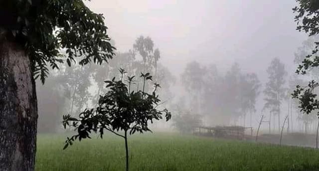 হঠাৎ করে কুয়াশার চাদরে ঢাকা হিলি