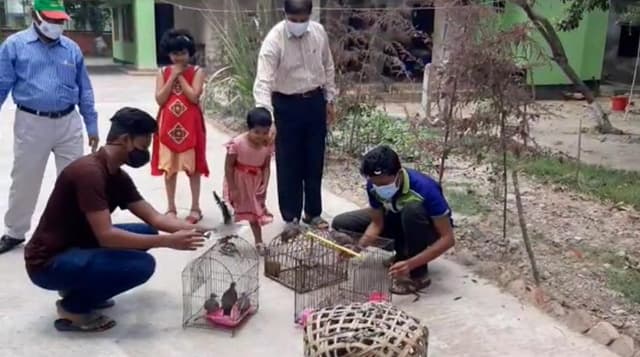 পাখি শিকারীদের কবল থেকে ঘুঘু ও ডাহুক অবমুক্ত