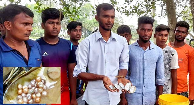 মুক্তা চাষে সাফল্যের স্বপ্ন দেখছে আত্রাইয়ের তরুণ উদ্যোক্তা কবির