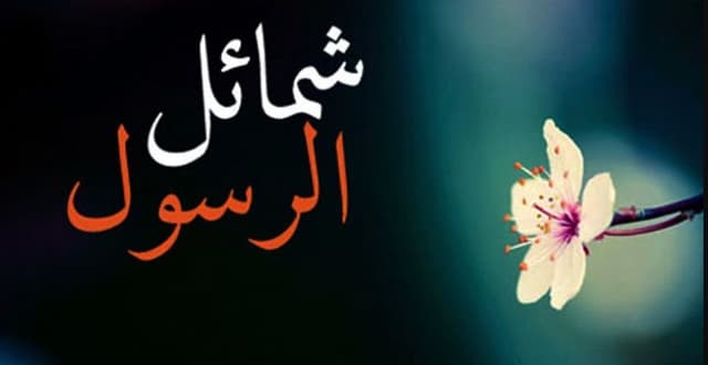 নবিজীর (সা.) গুণে মুগ্ধ হয়ে কালেমা পড়লেন রাবাই