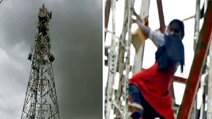 মৌমাছির তাড়া খেয়ে ব্যর্থ আত্মহত্যার চেষ্টা !