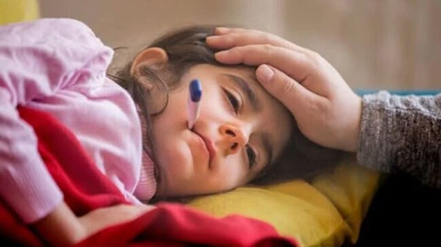 ভারতে ‘টম্যাটো ফ্লু’-র হানা