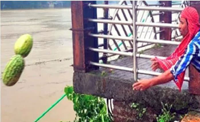 ক্রেতা না থাকায় নদীতে ফেলে দিচ্ছে তরমুজ