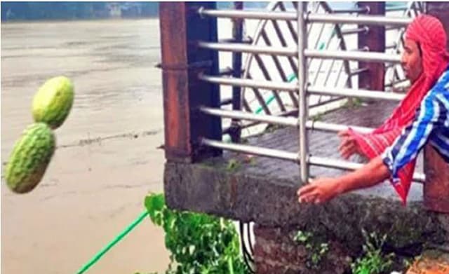 ক্রেতা না থাকায় নদীতে ফেলে দিচ্ছে তরমুজ