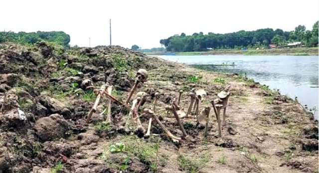 ঝিনাইদহের মহেশপুরে কলেজ বাসষ্ট্যান্ডে গণকবরের সন্ধান