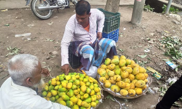 হিলির বাজারে উঠেছে রসালো আম, কেজি ১২০