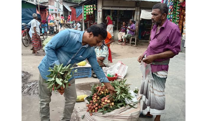 লালপুরের বাজারে এলো রসালো লিচু