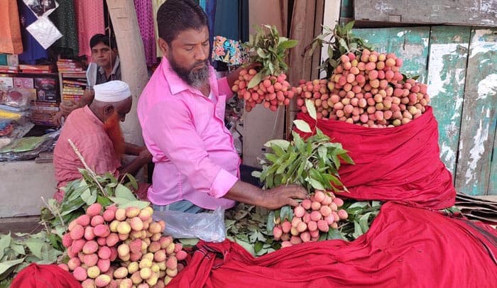 দেশি জাতের আধাপাকা লিচুতে সয়লাব বরিশালের বাজার!