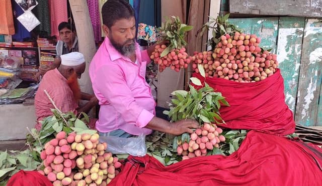 দেশি জাতের আধাপাকা লিচুতে সয়লাব বরিশালের বাজার!