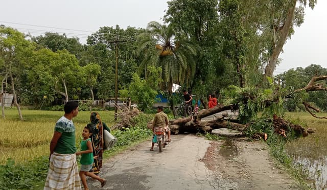 ভূরুঙ্গামারীতে ঝড়ে ব্যাপক ক্ষতি