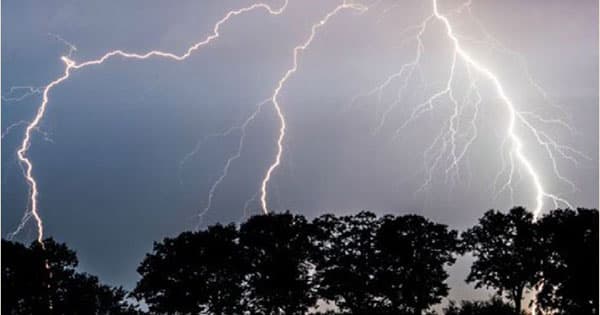 সুনামগঞ্জে বজ্রপাতে ৩ শিশু নিহত