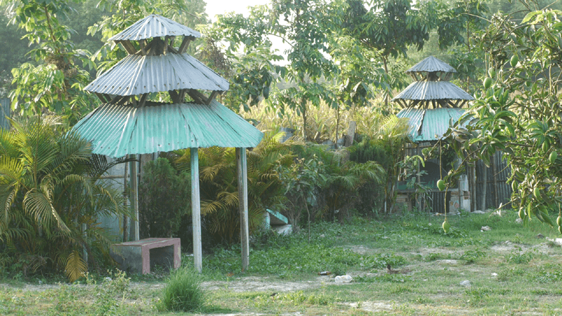 পার্কের ঝুপড়ি ঘরে প্রকাশ্যে অশ্লীলতা!