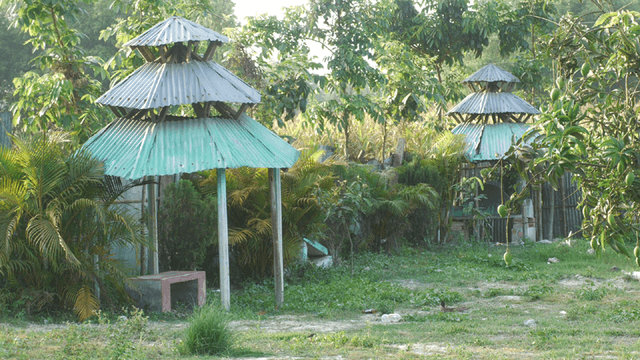 পার্কের ঝুপড়ি ঘরে প্রকাশ্যে অশ্লীলতা!