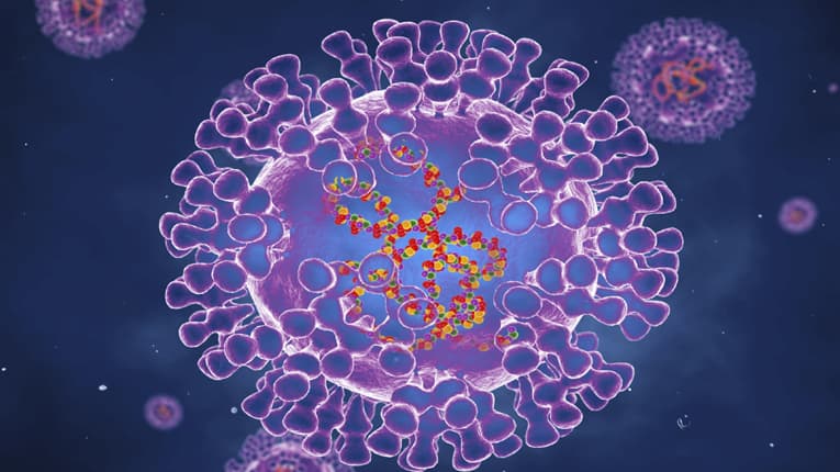 ইউরোপে ছড়িয়ে পড়ছে মাংকিপক্স, জরুরি বৈঠকে বিশ্ব স্বাস্থ্য সংস্থা