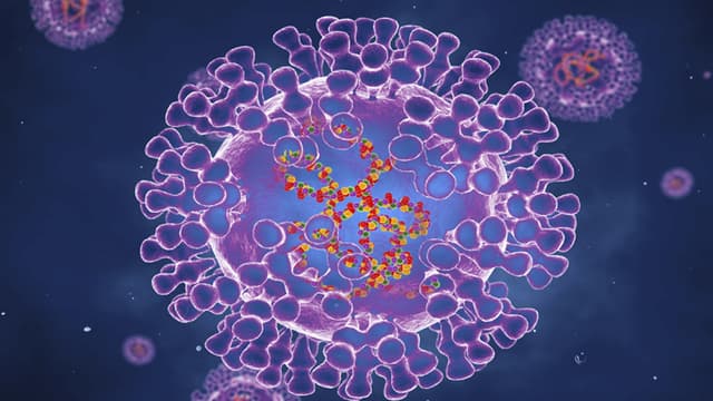 ইউরোপে ছড়িয়ে পড়ছে মাংকিপক্স, জরুরি বৈঠকে বিশ্ব স্বাস্থ্য সংস্থা