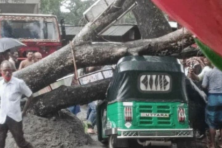 ঝড়ে গাছ পড়ে অটোচালক নিহত, হাসপাতালে ৪