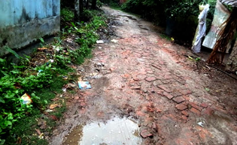 বুধহাটায় বকুলতলা এলাকার রাস্তা দুটির করুন অবস্থা!