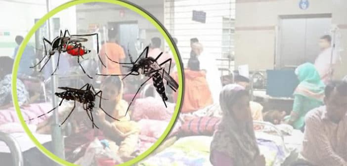 ২৪ ঘণ্টায় ডেঙ্গু আক্রান্ত হয়ে হাসপাতালে ৮০ রোগী