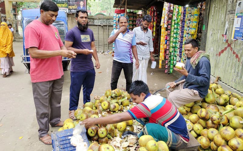 প্রচণ্ড গরমে ভূঞাপুরে বাড়ছে তালের আঁটির কদর