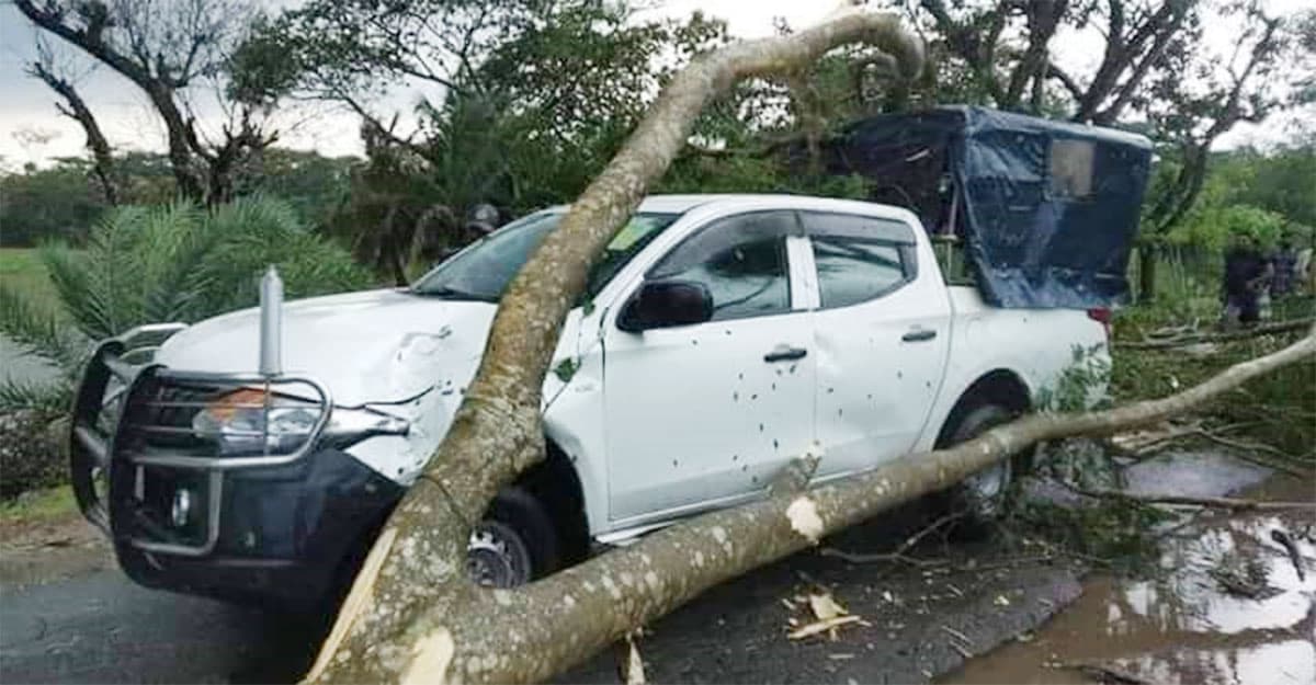 ঝড়ে গাছ ভেঙে পড়ল ইউএনওর গাড়ির ওপর