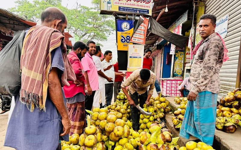 প্রচন্ড গরমে হিলিতে তৃষ্ণা মেটাচ্ছে কচি তালের শাঁস