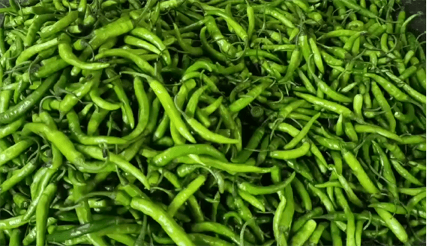ঝাঁজ কমলো কাঁচা মরিচের