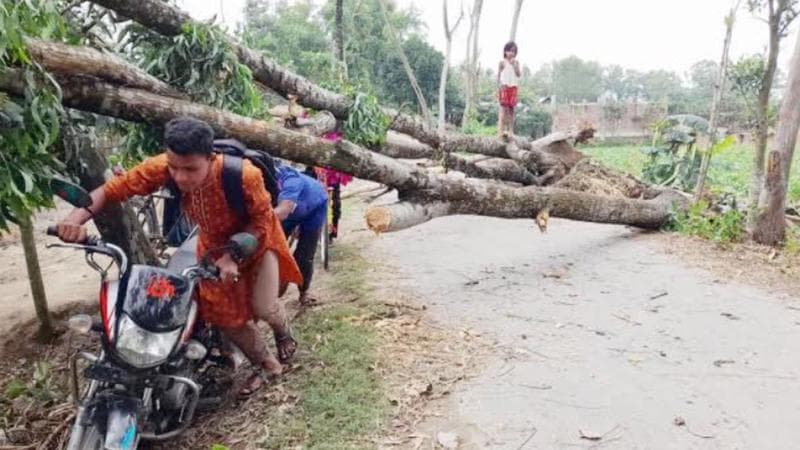 ঠাকুরগাঁওয়ে ঝড়ে লন্ডভন্ড ২০ গ্রাম, নিহত ৩