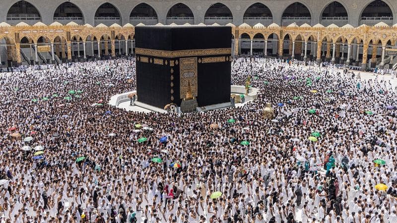 সৌদি পৌঁছেছেন ৫৩ হাজার হজযাত্রী, মক্কা-মদিনায় ৮ জনের মৃত্যু