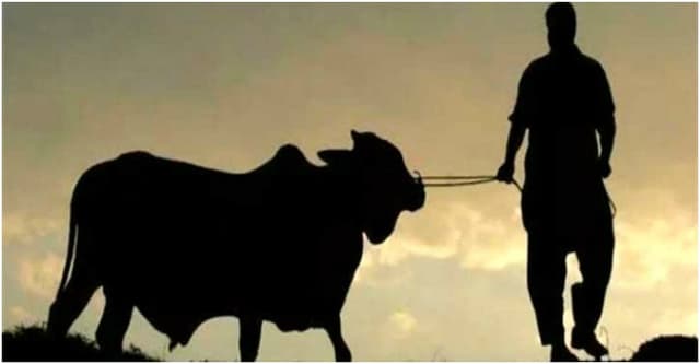 কোরবানির গুরুত্ব ও ফজিলত